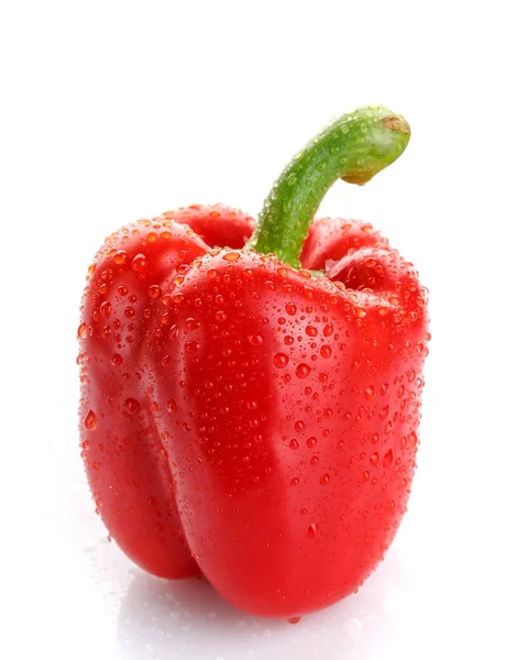 Концепція їжі, овочів та харчування - червоний перець з краплями роси ізольовані — стокове фото