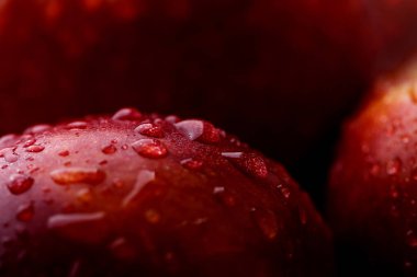 Beyaz arka plan üzerinde damla taze şeftali kaplı. Makro foto.