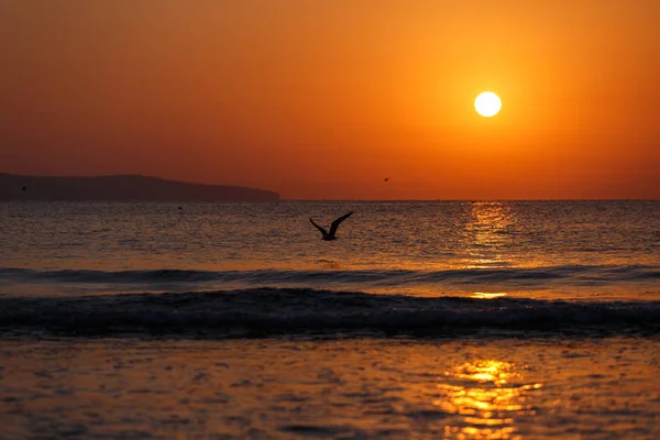 Goldener Sonnenuntergang Über Dem Meer Strandblick Vogelsilhouetten Vor Dem Hintergrund — Stockfoto