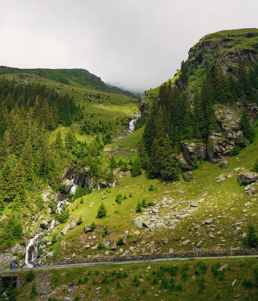 Paisagem Verão Corrente Montesa Rio Montanha Romeno Cárpatos — Fotografia de Stock