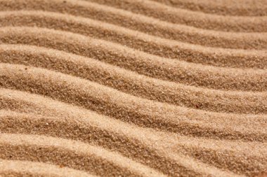 Soyut doku. Kum dalgaları arka planı. Yaz fotoğrafı.