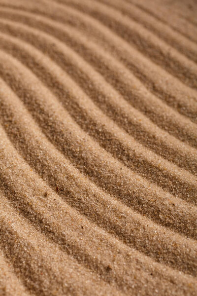 Summer sandy background or texture. Sandy waves near the sea or desert.