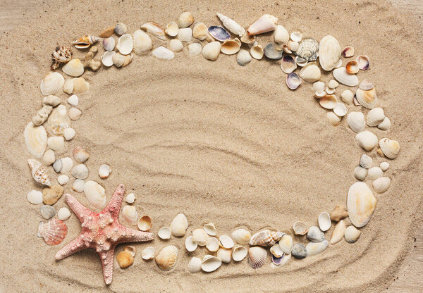Seashells summer background. Lots of different seashells piled together. For card, frame, flat lay, copy space, top view