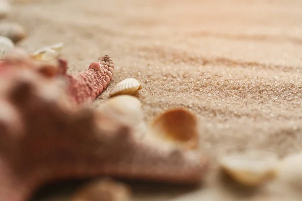 Areia Com Conchas Praia Mar Perto Lugar Para Texto Quadro — Fotografia de Stock