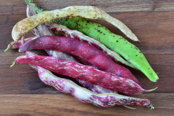 Töpfe mit bunten Bio-Bohnen — Stockfoto