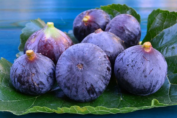 Sju blå fikon på mulberry leaf — Stockfoto