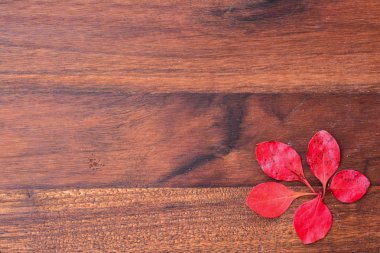 Kırmızı yaprakları ile ahşap arka plan