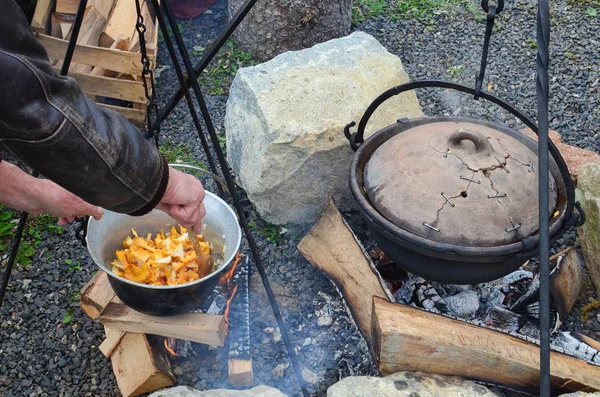 Preparing mushrooms and venison goulash — Stock Photo, Image