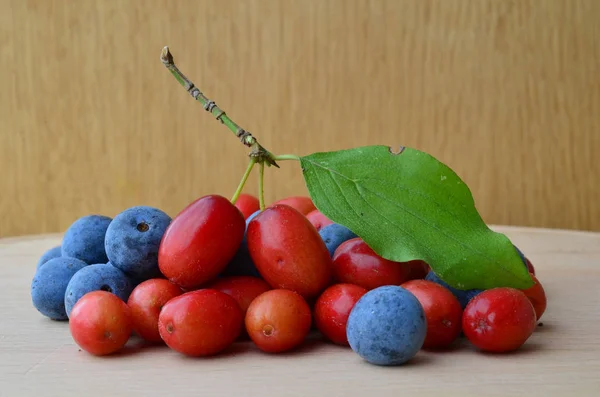 Owoce tarniny i Cornus mas na podłoże drewniane — Zdjęcie stockowe