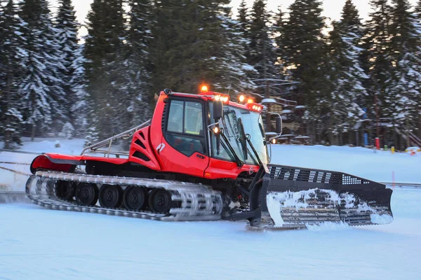 Red snow groomer in action, twilight after busy ski day — Stock Photo, Image