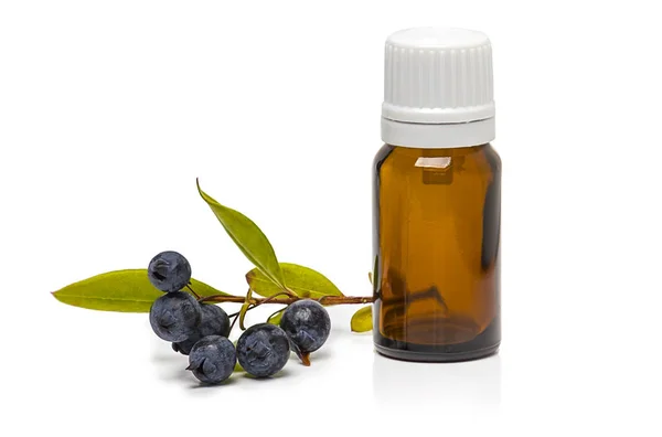 mersinli böğürtlen ve beyaz üzerine izole edilmiş gerekli yağ şişesi