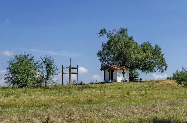 Bela paisagem de verão adiantado com árvore de vidoeiro venerável e capela velha — Fotografia de Stock