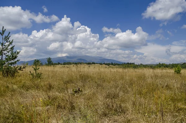 Beauty view of advance summer in Plana mountain — Stock Photo, Image