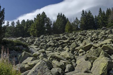 Benzersiz taş nehir büyük granit taşlar Vitosha Milli Park dağ rocky Nehri'nde