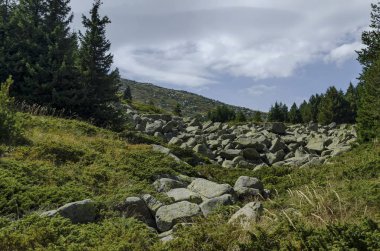 Büyük granit taş veya buzultaş ile benzersiz taş Nehri