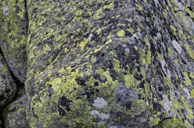 Arka plan büyük granit taş veya buzultaş ile benzersiz taş Nehri'nin yakın çekim