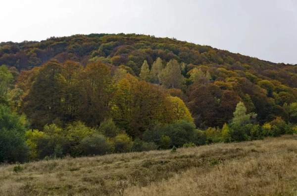 Colorido paisaje otoñal en la montaña de Vitosha — Foto de Stock