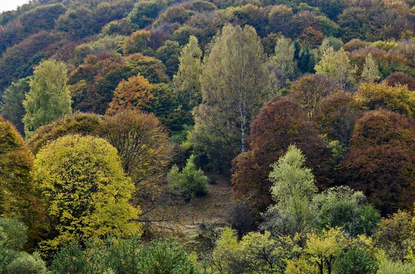 Farbenfrohe Herbstlandschaft im Vitosha-Gebirge — Stockfoto