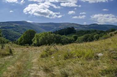 Vitosha mountain glade ve yeşil ormanda Panoraması