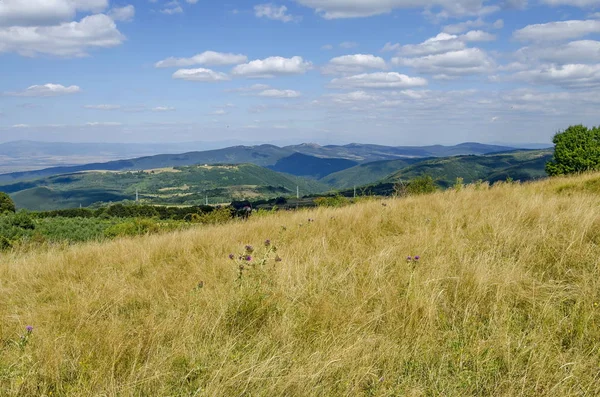 Panorama na Polanie i zieleń lasu, w góry Witosza — Zdjęcie stockowe