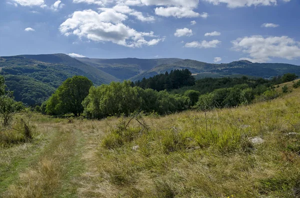 Panorama de la clairière et de la forêt verte dans la montagne Vitosha — Photo