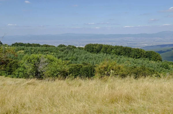 Panorama de glade y bosque verde en la montaña Vitosha y parte en la ciudad de Sofía — Foto de Stock