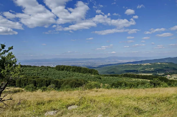 Panorama glade a zeleného lesa v pohoří Vitoša a část Sofia City — Stock fotografie