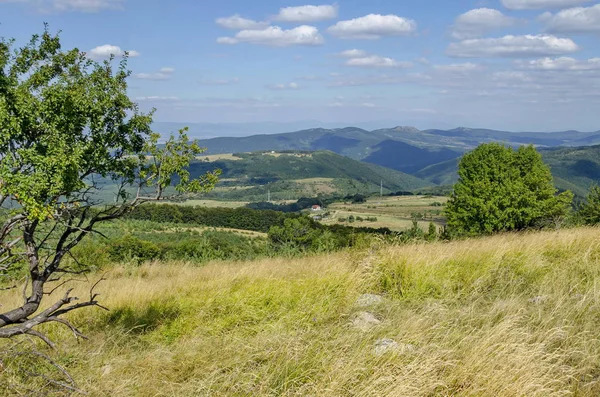 Panorama na Polanie i zieleń lasu, w góry Witosza — Zdjęcie stockowe