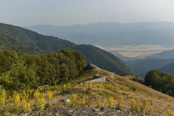 Mountain landscape at Central Balkan mountain with mullein or Verbascum flower, — Stock Photo, Image