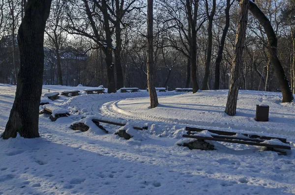 Vinterscen med parkbänk — Stockfoto