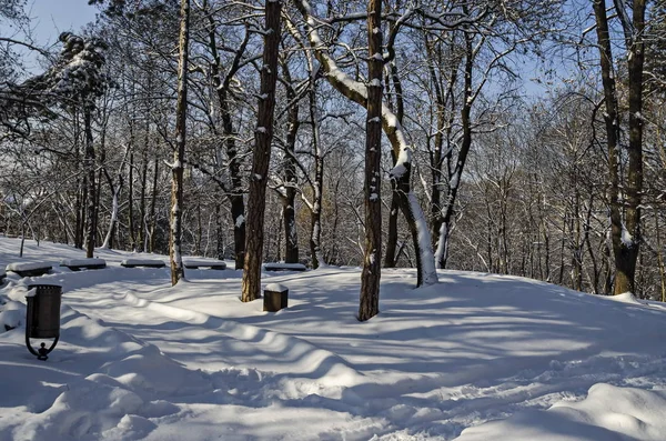 Winter scene met park bank — Stockfoto