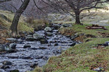 Güzel hareket bulanık su akışı manzara kış ormanı yakın, Vitosha mountain