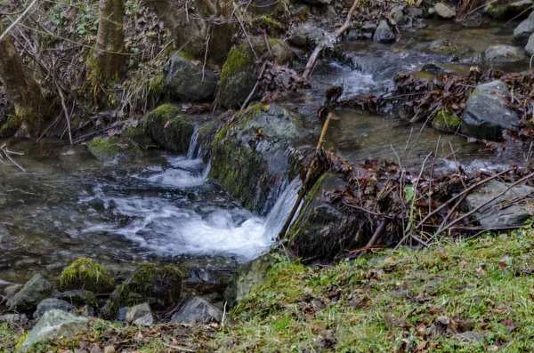 Bellissimo movimento sfocato paesaggio del flusso d'acqua nella foresta invernale da vicino, montagna Vitosha — Foto Stock