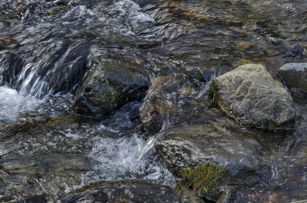 Bellissimo movimento sfocato paesaggio del flusso d'acqua nella foresta invernale da vicino, montagna Vitosha — Foto Stock