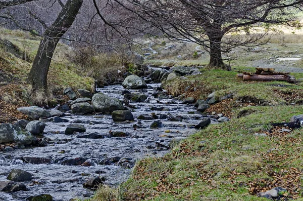 Beau mouvement flou paysage de ruisseau d'eau dans la forêt d'hiver gros plan, montagne Vitosha — Photo