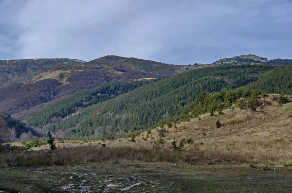 Панорама поляны и позднего осеннего леса на горе Витоша — стоковое фото