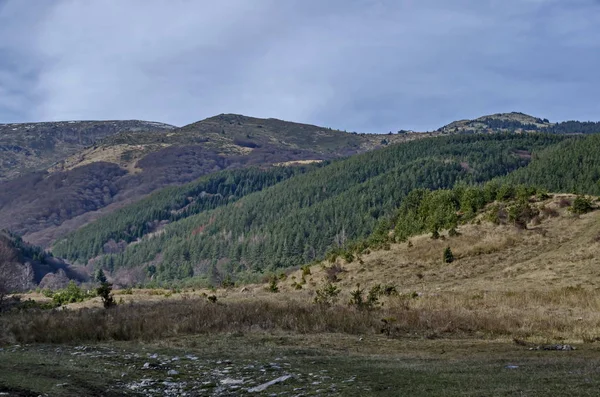 Panorama di radura e foresta di fine autunno in montagna Vitosha — Foto Stock