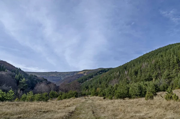 Panorama de glade y bosque de finales de otoño en la montaña Vitosha —  Fotos de Stock