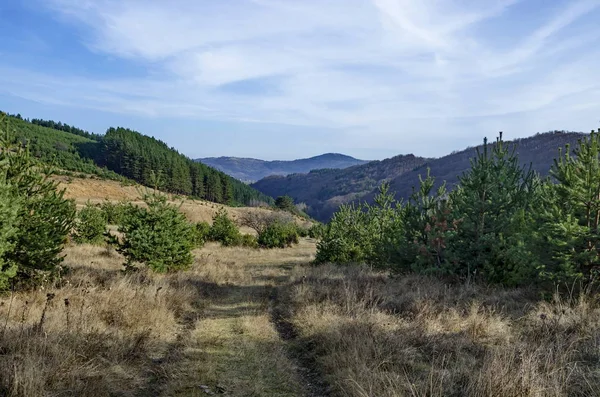 Panorama of glade and  late autumn forest in Vitosha mountain — Stock Photo, Image