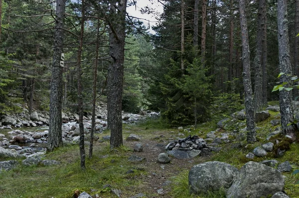 Beautiful view of the  Rila mountain with forest and river Iskar — Stock Photo, Image