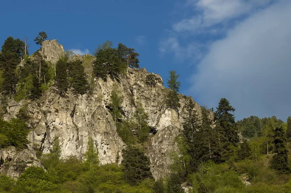 Вершина гори, порослі висока дерева, скелі і glade гори Ріла — стокове фото