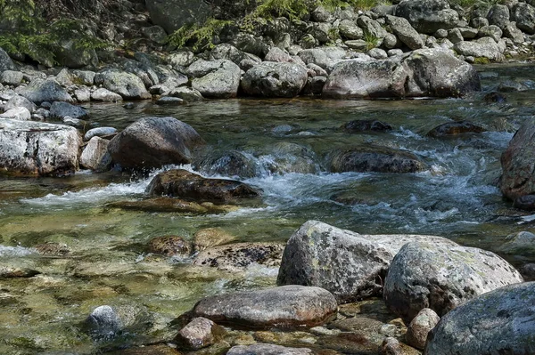 Rila Dağı ile nehir Iskar görünümünü kapat