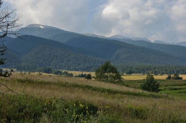 İğne yapraklı orman, vadi ve glade, Rila Dağı ile büyümüş görkemli dağ tepe