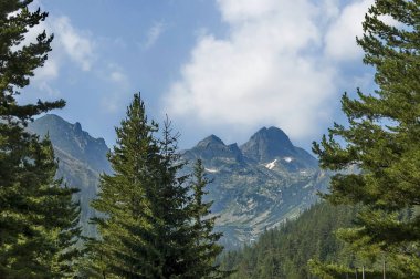 İğne yapraklı orman, vadi ve glade, Maliovitza, Rila Dağı ile büyümüş görkemli dağ tepe