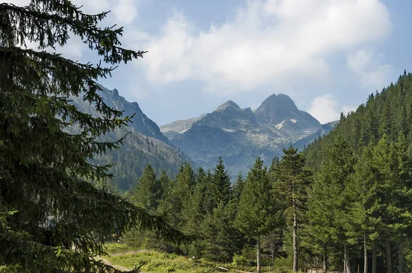 Majestueux sommet de montagne envahi par la forêt de conifères, vallée et clairière, Maliovitza, montagne Rila — Photo