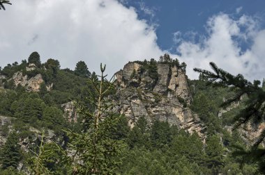 İğne yapraklı orman ve Rila Dağı Maliovitza tepe doğru ekolojik yolda glade ile büyümüş güneşli dağın tepesinde