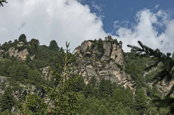 針葉樹林とリラ山の Maliovitza ピークに向かって生態ウォークに空き地で草に覆われた太陽に照らされた山の頂上 — ストック写真