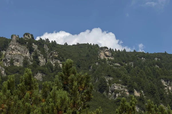 Cima de montaña iluminada por el sol cubierta de bosque de coníferas y claro en el paseo ecológico hacia el pico Maliovitza en la montaña de Rila — Foto de Stock