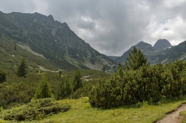 Dağın tepesinde iğne yapraklı orman ve Rila Dağı Maliovitza tepe doğru ekolojik yolda glade ile büyümüş