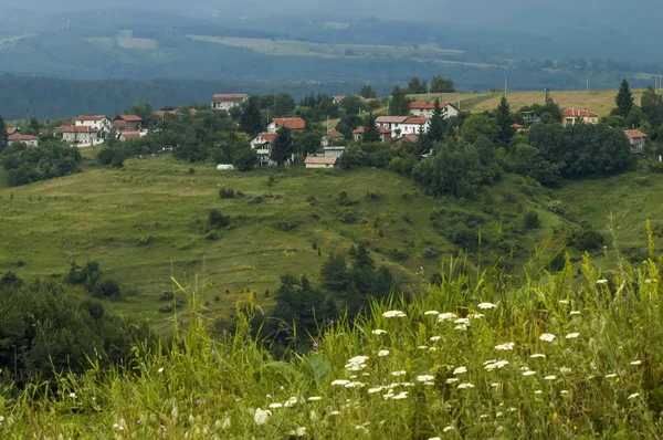 Cena com clareira de montanha, floresta e bairro residencial da aldeia búlgara Plana, montanha de Plana — Fotografia de Stock